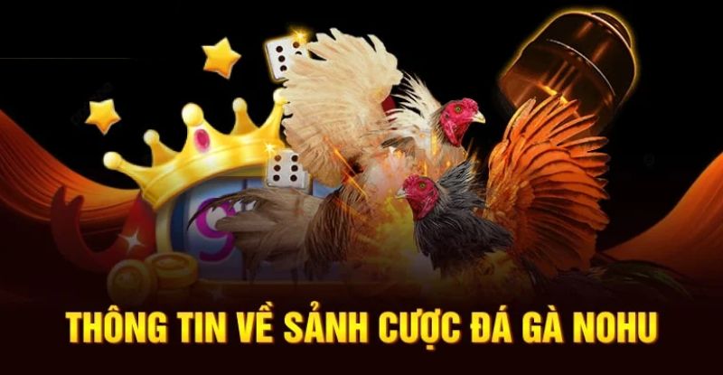 Đôi nét về sảnh game đá gà Nohu